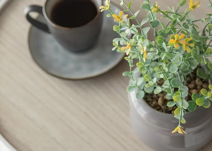 Gustowny Z Parkingiem I Balkonem W Kolobrzegu By Renters * Kołobrzeg